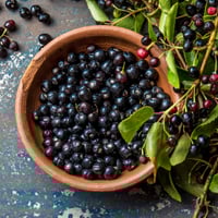 Maqui Berry: Health Benefits Of This Exotic Purple Fruit. Simple Ways To Add It To Your Diet