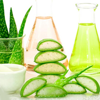 Is Aloe Vera Juice Good For Gut? Nutrition, Benefits, And Side Effects