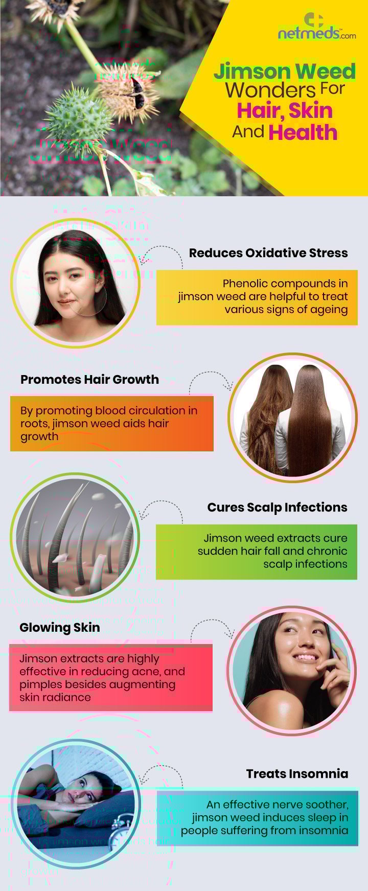 Jimson Weed wonders for hair, skin and health
