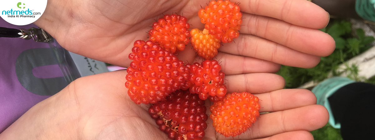 salmonberry fruit