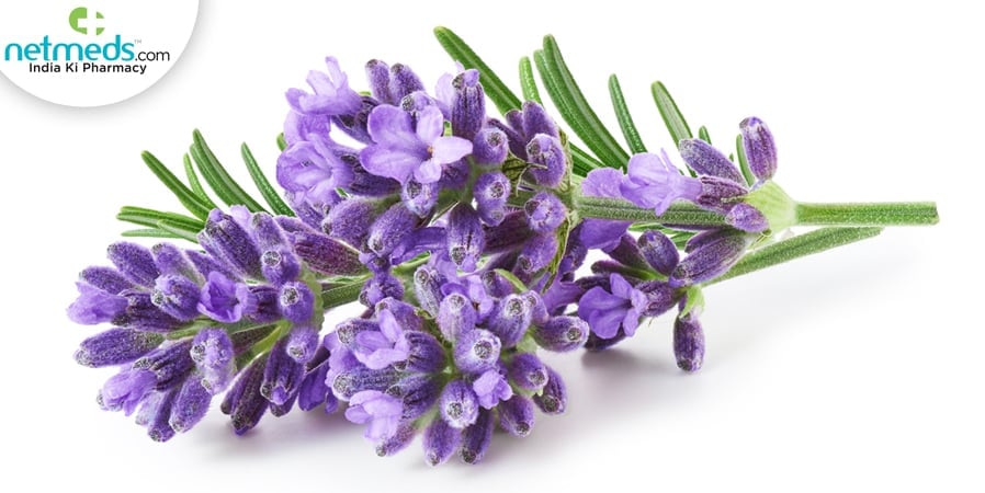 lavender
