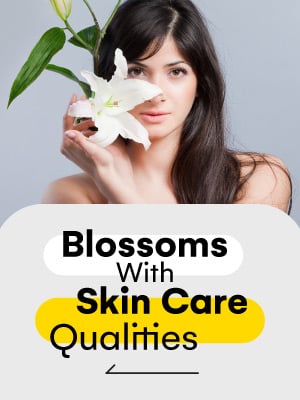 Flower Power: 5 Spectacular Floral Extracts To Incorporate In Your Beauty Regime – Infographics