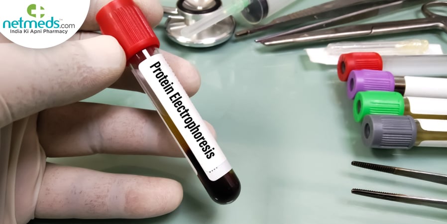 serum protein