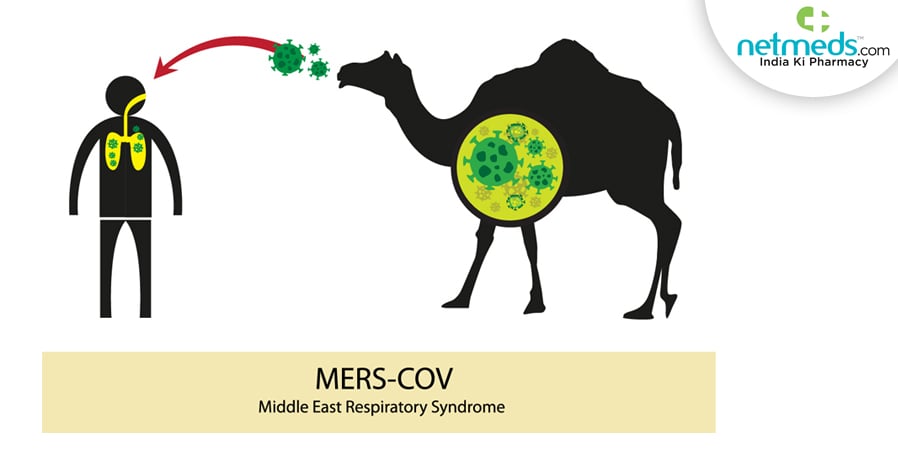 mers