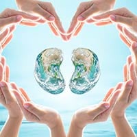 World Kidney Day 2022: Learn About The Impact OF Kidney Disease And COVID-19