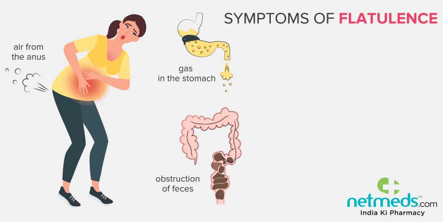 Carminative Herbs Natural Remedies For Flatulence And Gas