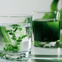 Is It Safe To Drink Chlorophyll Water? Discover Health Benefits And Side Effects 