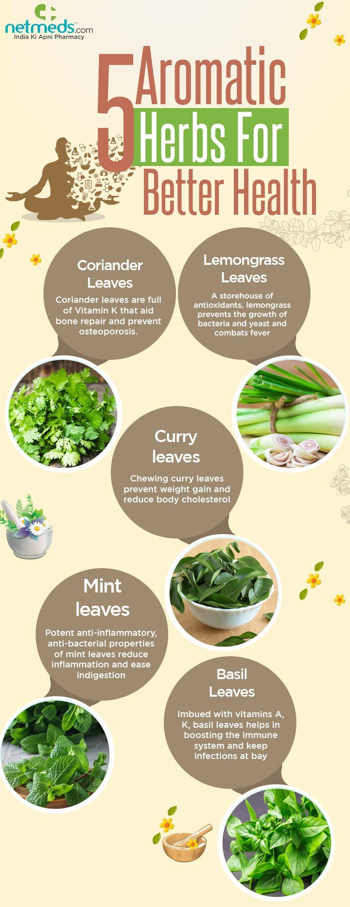 5 Aromatic Herbs For Better Health