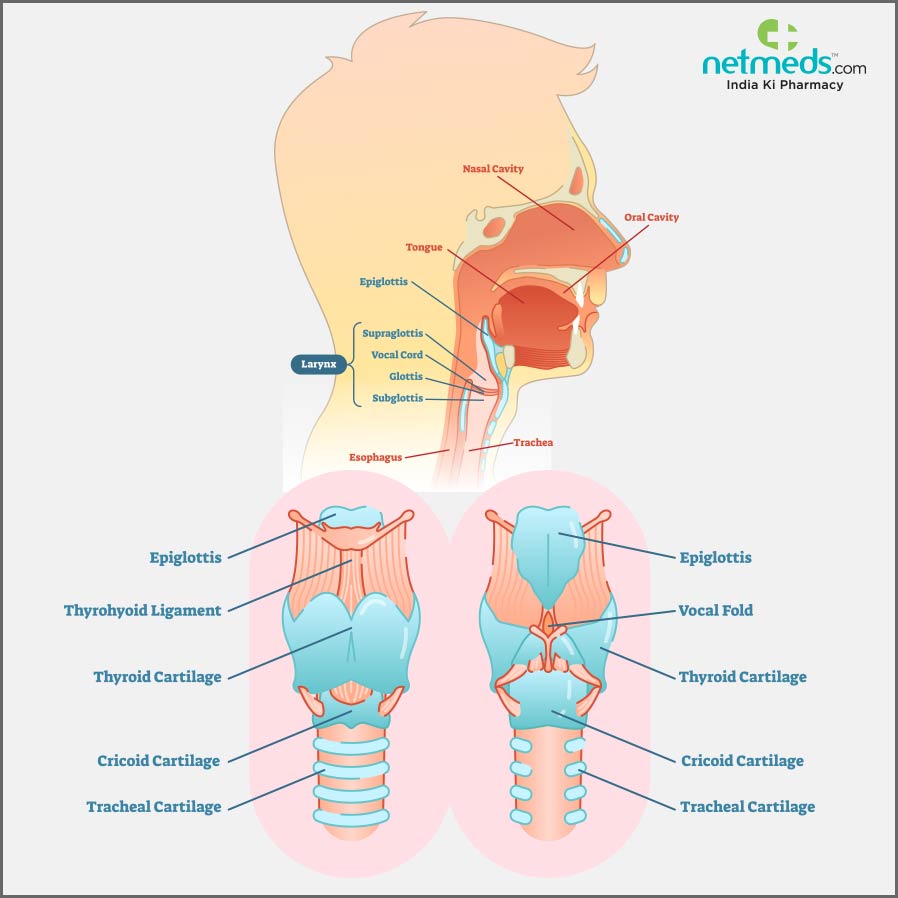 epiglottis causes