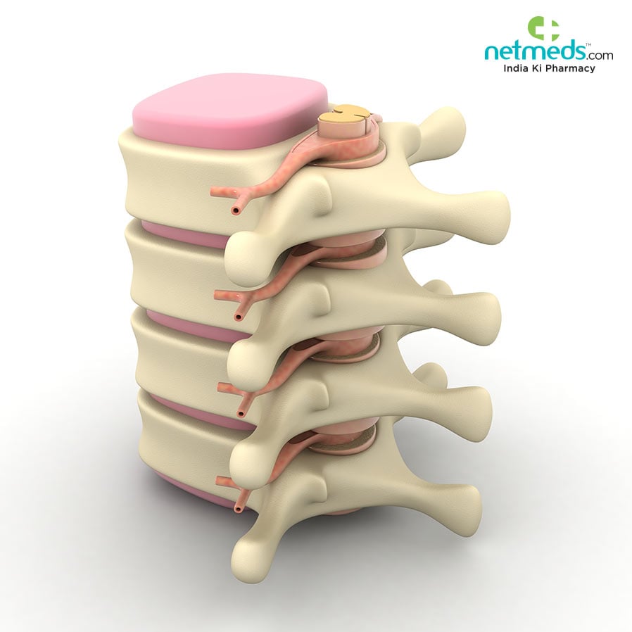 3D printed implants for spinal cord