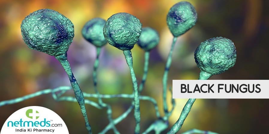 Black Fungus