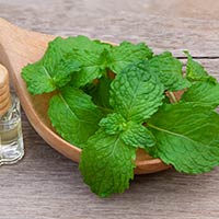 Bloating: Try These Kitchen Wonders To Soothe Bloated Tummy