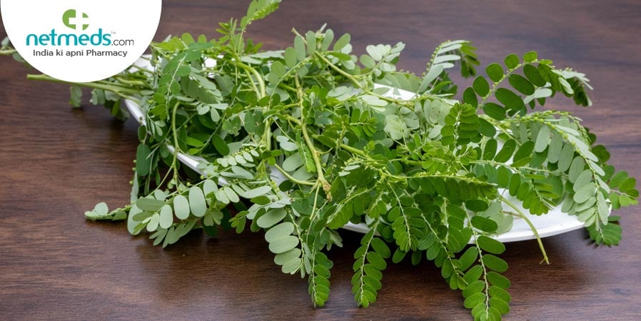 Bhumi amla leaves