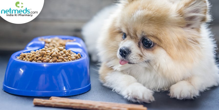 dog 2