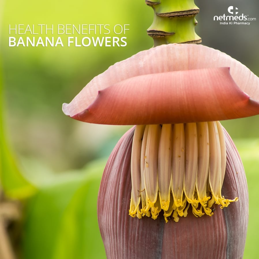 Health Benefits Of Banana Flowers