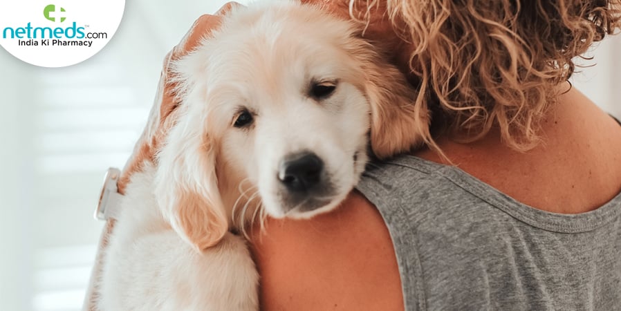 Depressed pet