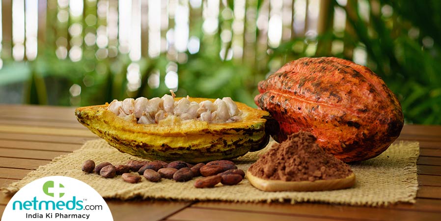 Cocoa in all the forms