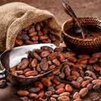 8 Health Benefits Of Cocoa Powder
