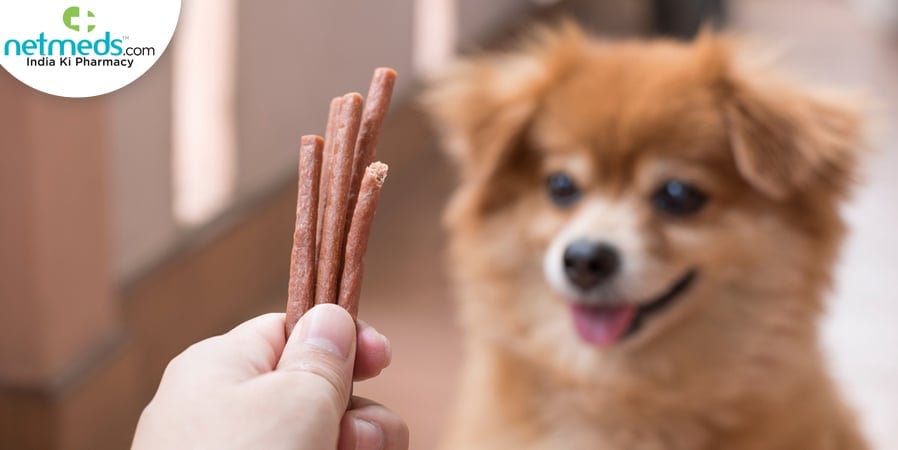 pet 2