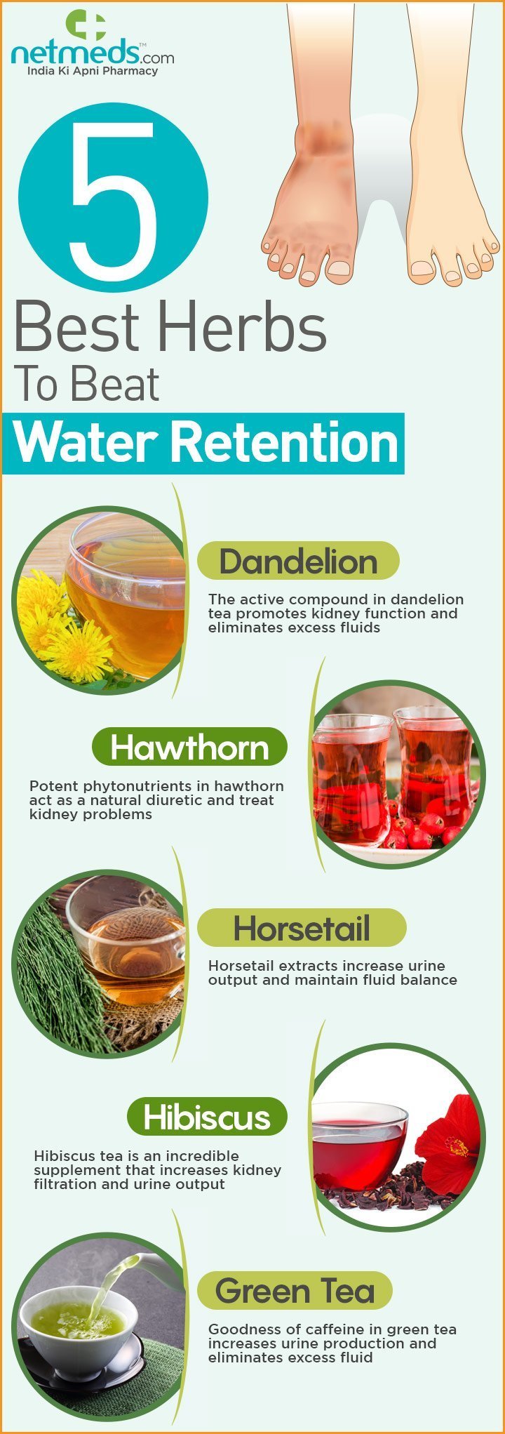 5 best herbs to beat water retention