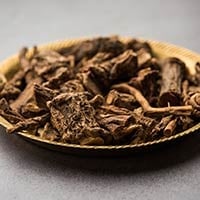 Vijaysar: Benefits, Uses, Formulation, Ingredients, Dosage And Side Effects 