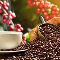 Coffee Compounds Can Help Combat Parkinson's: Study