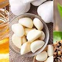 5 Natural Antibiotics To Combat Infections