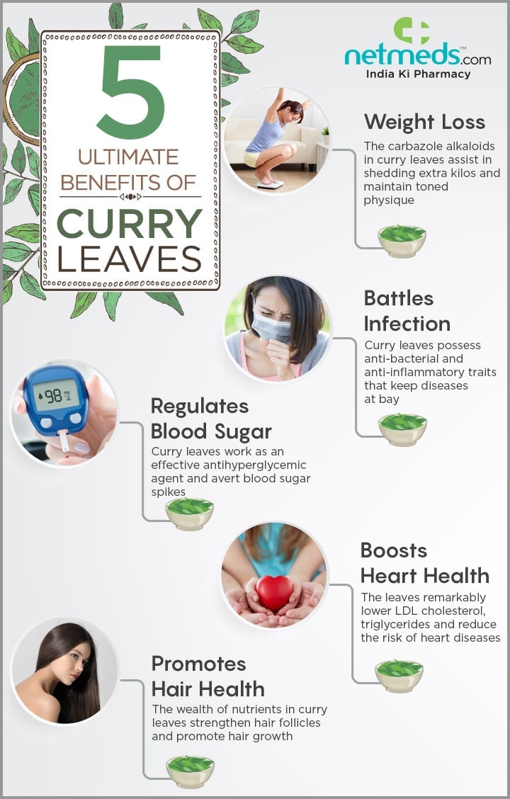 curry leaves infographic