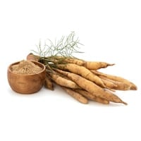 Shatavari Guggul: Benefits, Uses, Formulations, Ingredients, Method, Dosage, Side Effects And Precautions