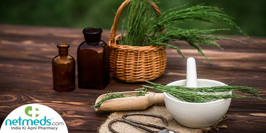 Horsetail