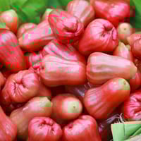 Water Apple: Health Benefits, Nutrition, Uses For Skin And Hair, Recipes, Side Effects