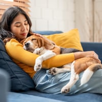 Pseudorabies In Dogs: Causes, Symptoms, And Tips To Prevent Your Furry Friend From This Ailment