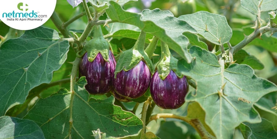 Eggplant