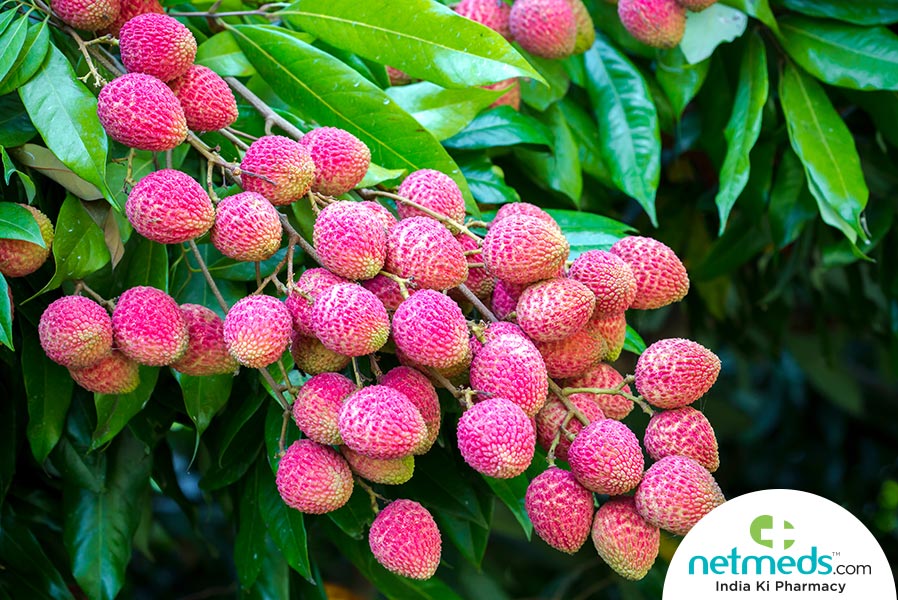 litchi tree