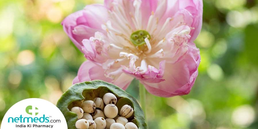 lotus seed health benefits