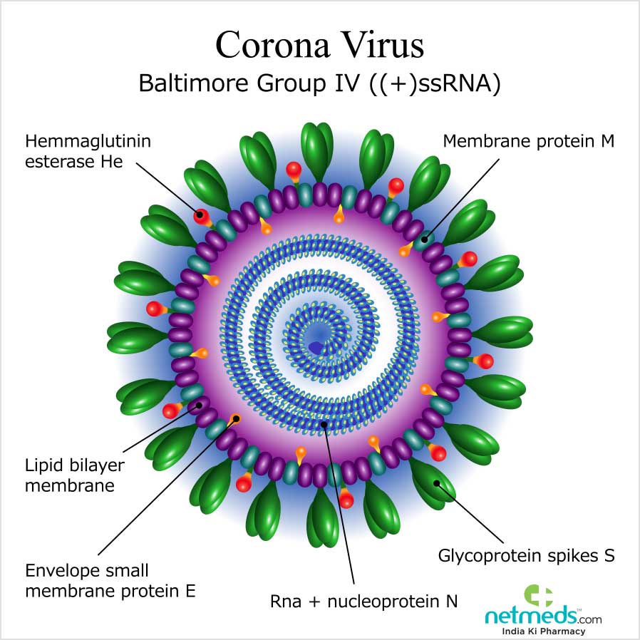 Coronavirus
