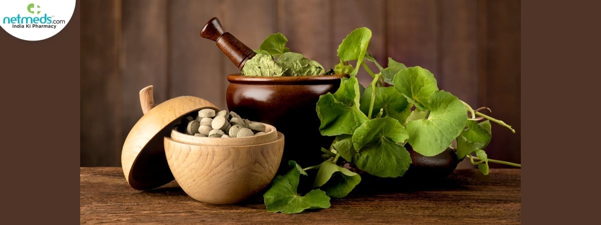 gotu kola