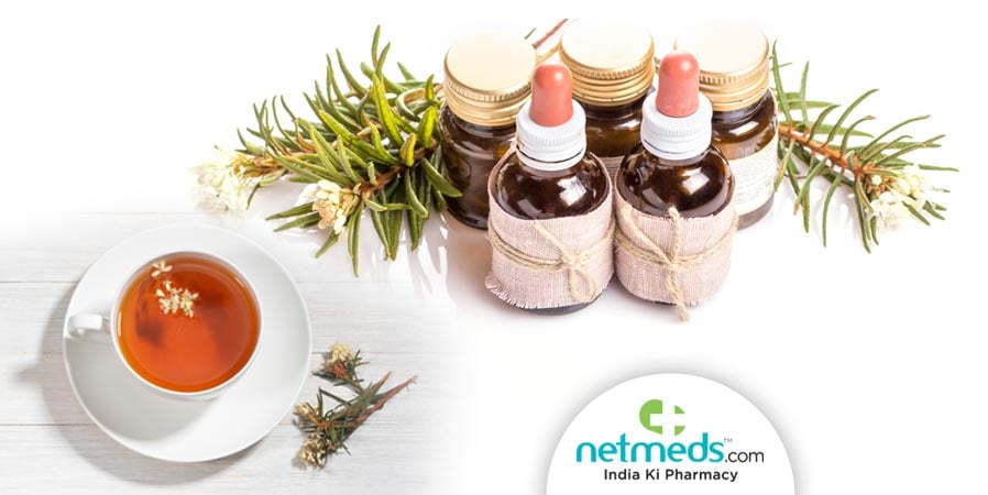 Ledum Palustre Tea and Oil