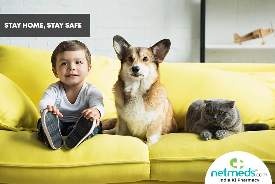 pet care during lockdown