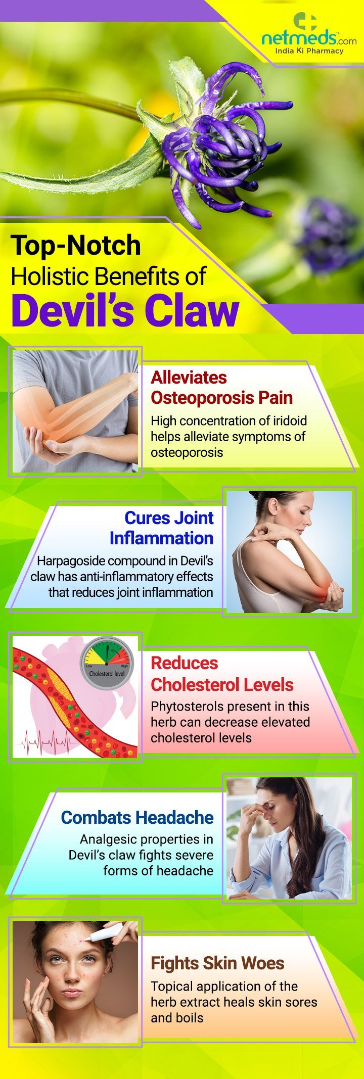 Main Image Infographic