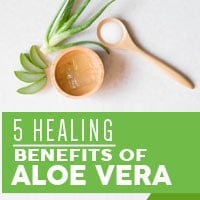 5 Surprising Health Benefits Of Aloe Vera Gel – Infographic 