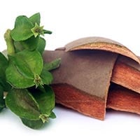 Arjuna: This Herbal Hero Protects Your Heart Health