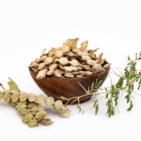 Babularishta: Uses, Benefits, Ingredients, Method, Dosage, Precautions And Side Effects