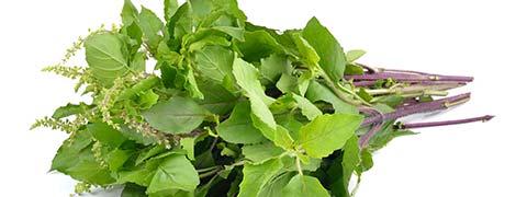 5 Best Home Remedies To Maintain Blood Pressure