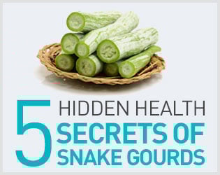 5 Fantastic Health Benefits Of Adding Snake Gourd To Daily Diet - Infographic