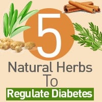 Diabetes: 5 Incredible Herbs For Controlling Blood Sugar Levels- Infographic