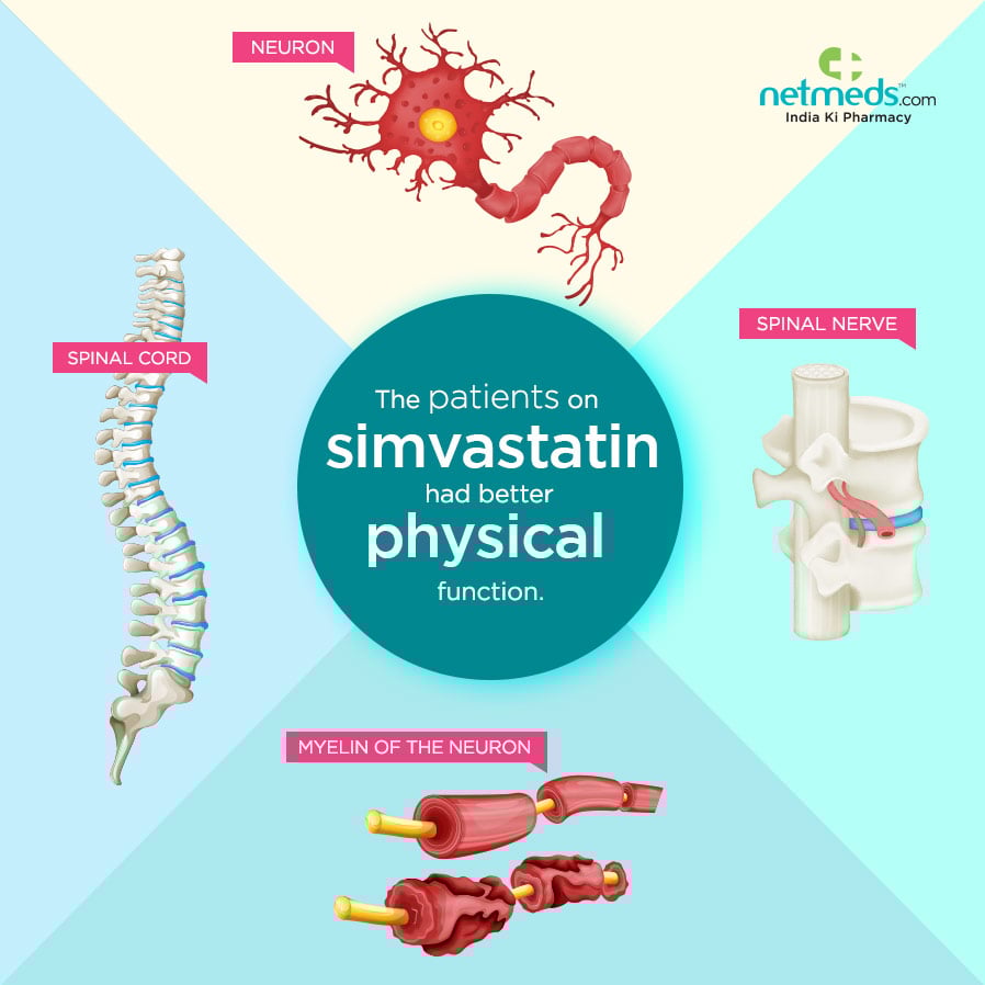 Simvastatin Slow Down Multiple Sclerosis