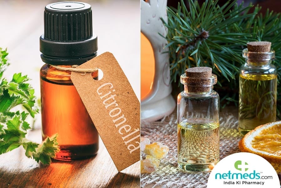 citronella essential oil