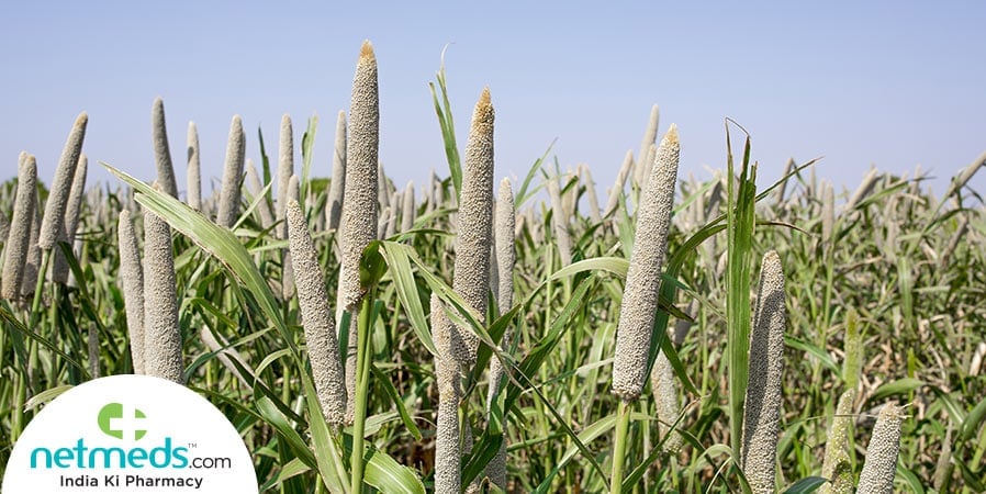 Bajra crops