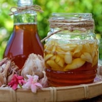 Can You Take Raw Garlic and Honey for Weight Loss? Discover Health Benefits Here 
